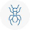 Ant Removals In Wilton Dean