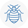 Bed Bug Extermination In Wilton Dean