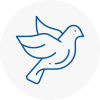 Bird Prevention Wilton Dean