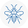 Wilton Dean Hornet Nest Removals