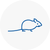 Mice Exterminators In Wilton Dean