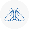 Moth Control Specialists In Wilton Dean