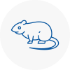 Rat Control Wilton Dean