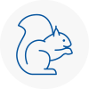 Wilton Dean Rodent Removals