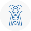 Wilton Dean Wasp Nest Removal